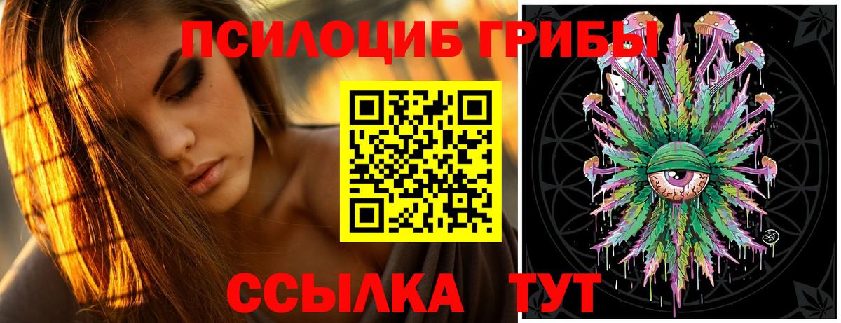 Новошахтинск  Псилоцибиновые грибы мицелий  Вход с VPN 