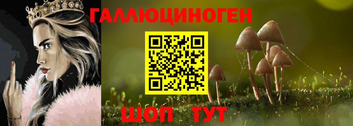 Галлюциногенные грибы ЛСД Новошахтинск