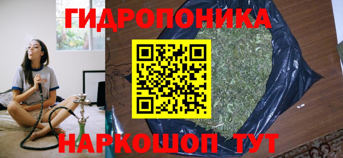 Бошки марихуана ГИДРОПОН Новошахтинск